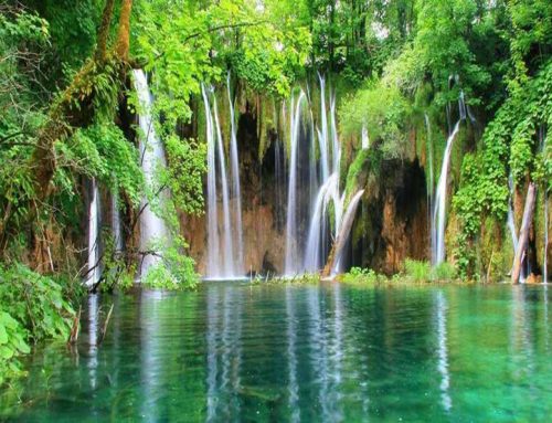 Λουτρά Πόζαρ: Η Ιδανική Απόδραση για Χαλάρωση και Απόλαυση